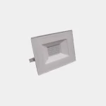 POINTER PRO 50 BLANCO