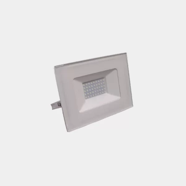 POINTER PRO 50 BLANCO