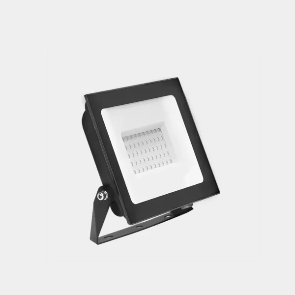 POINTER PRO COLOR FIJO